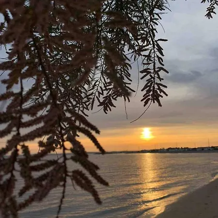 A 25M De La Plage, Tout A Pieds شقة